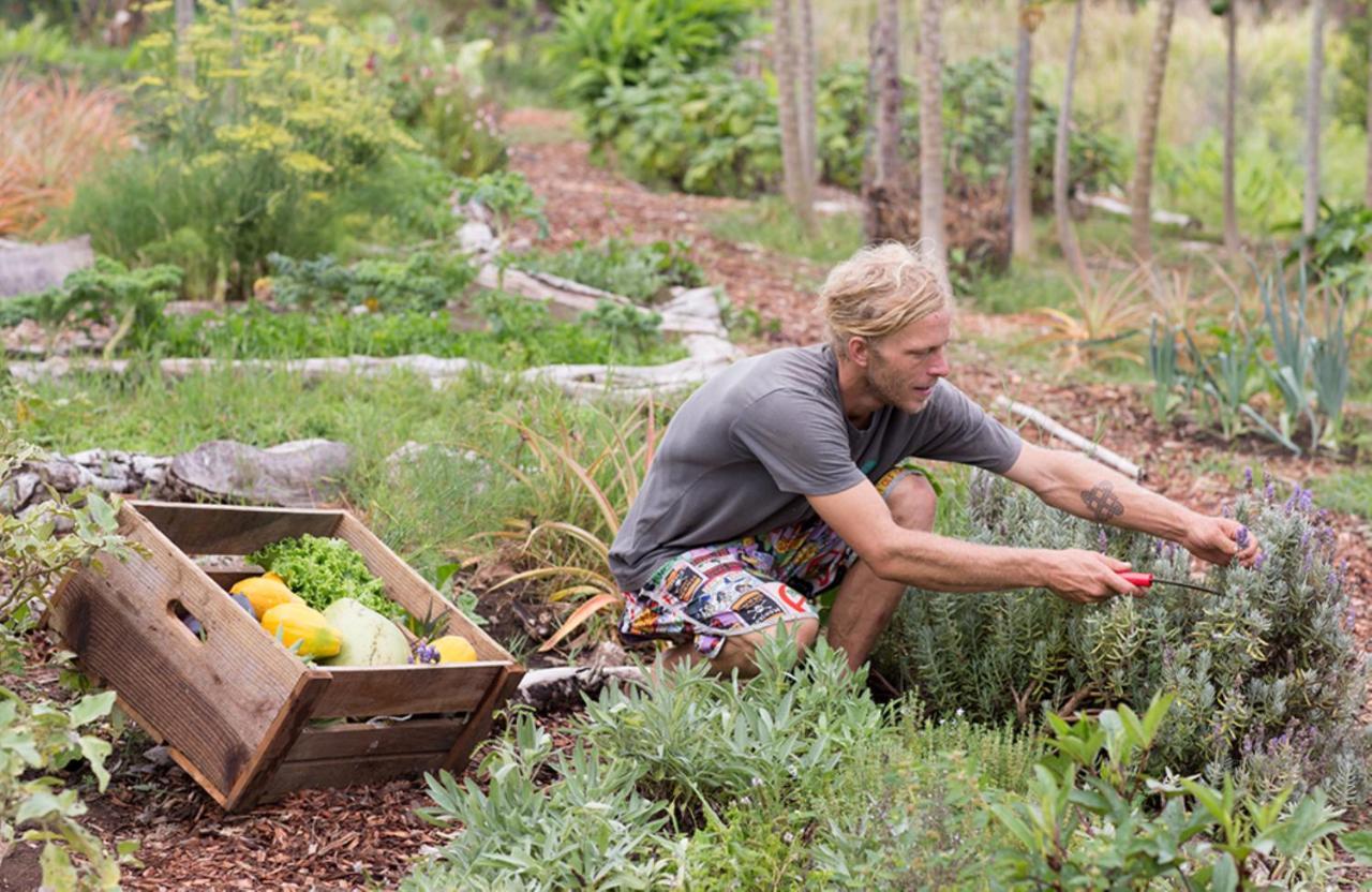 Lumeria Maui, Educational Retreat Center Makawao Εξωτερικό φωτογραφία